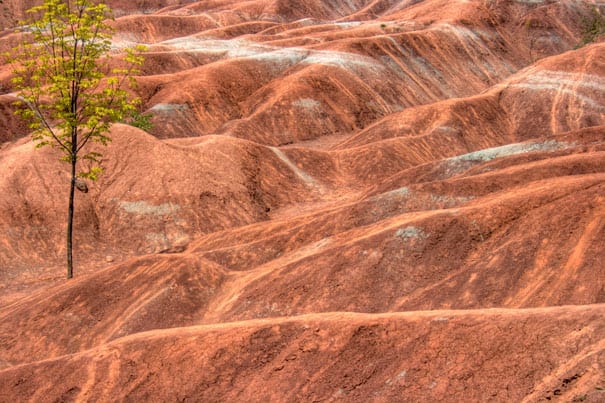  Cheltenham Badlands