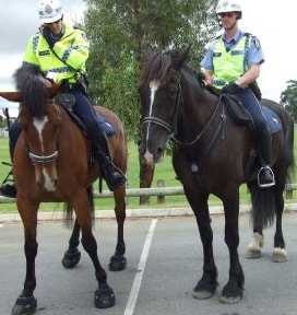 Police on Horses