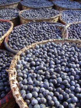 Brazilian Acai Berry 