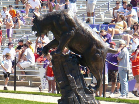 BEAR football