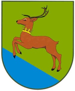 Blizyn