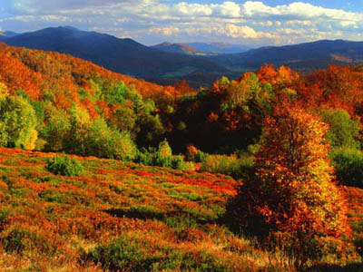 Bieszczady