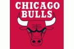 bulls