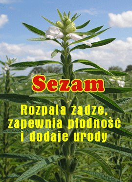 sezam