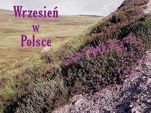 Wrzesien